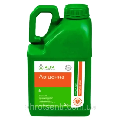 Протруйник Авіценна - фото
