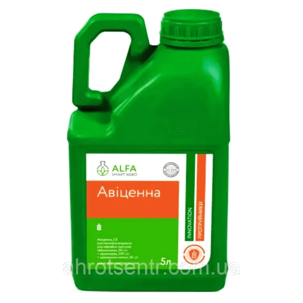 Протруйник Авіценна - фото