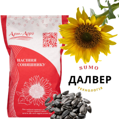Гібрид соняшнику Далвер (під Гранстар) - фото