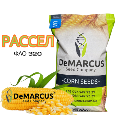 Насіння кукурудзи DeMARCUS Рассел - фото