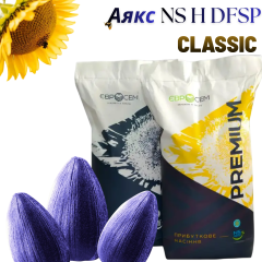 Фото - Насіння соняшника Аякс (NS H DFSP) CLASSIC