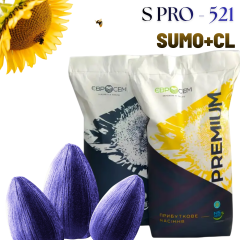 Фото - Насіння соняшника S PRO - 521 SUMO+CL 