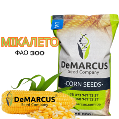 Фото - Насіння кукурудзи DeMARCUS Мікалето