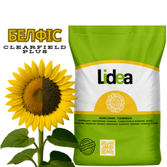 Фото - Насіння соняшнику Белфіс (CLEARFIELD PLUS) Lidea 