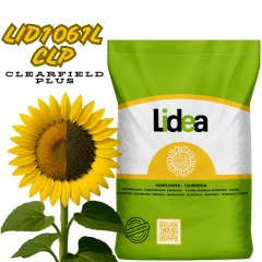Фото - Насіння соняшнику LID1061L CLP (CLEARFIELD PLUS) Lidea