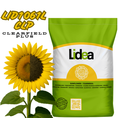 Насіння соняшнику LID1061L CLP (CLEARFIELD PLUS) Lidea - фото