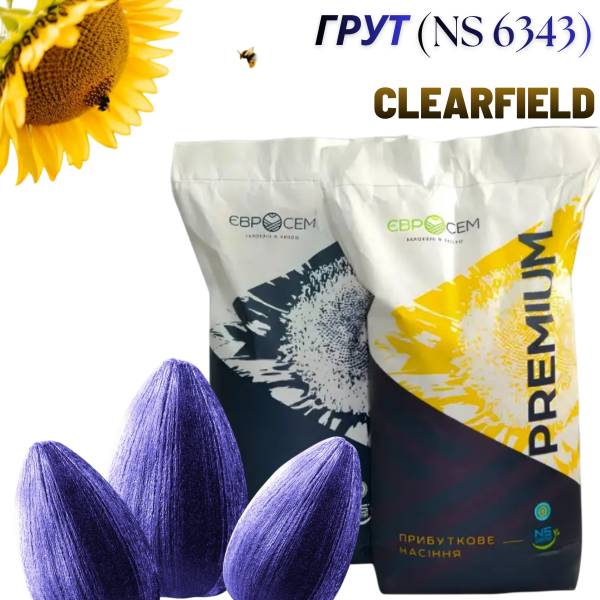 Насіння соняшника Грут (NS 6343) Clearfield - фото