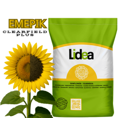 Фото - Насіння соняшнику Емерік (CLEARFIELD PLUS) Lidea