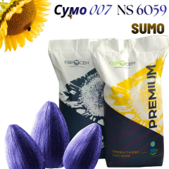 Фото - Насіння соняшника Сумо 007 (NS 6059) SUMO