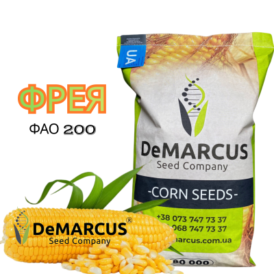 Насіння кукурудзи DeMARCUS Фрея - фото