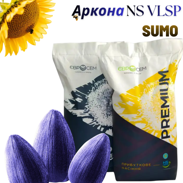 Насіння соняшника Аркона (NS VLSP) SUMO - фото