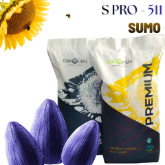 Фото - Насіння соняшника S PRO - 511 SUMO