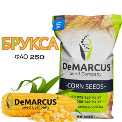 Фото - Насіння кукурудзи DeMARCUS Брукса