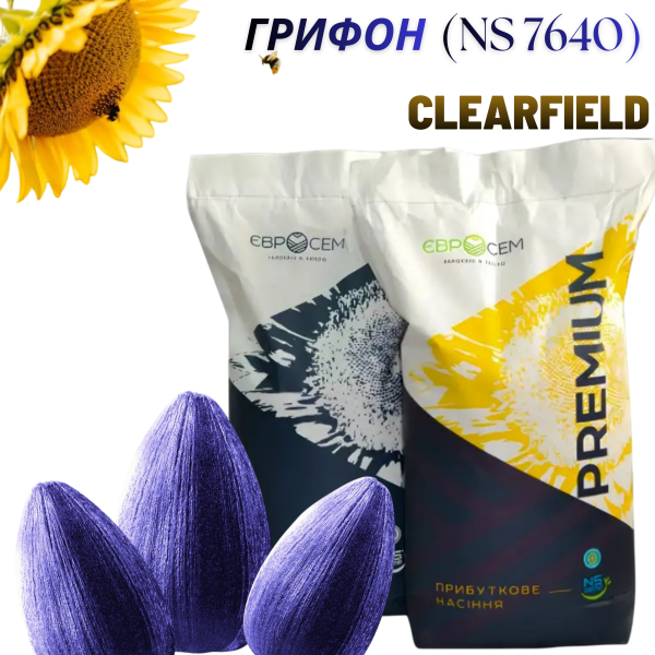 Насіння соняшника Грифон (NS 7640) Clearfield - фото