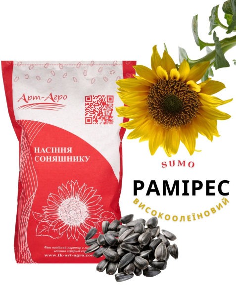 Гібрид соняшнику Рамірес (під Гранстар) ВИСОКООЛЕЇНОВИЙ - фото