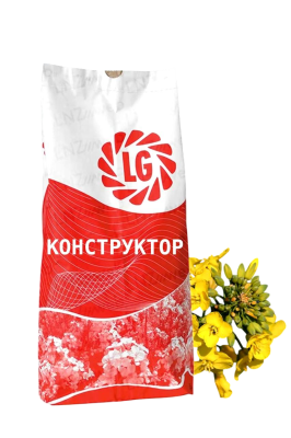 Гібрид ріпаку LG Конструктор КЛ, 2025р (Круїзер) - фото