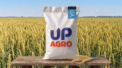 Фото - Насіння озимої пшениці КВС Емерік 1 репродукція
