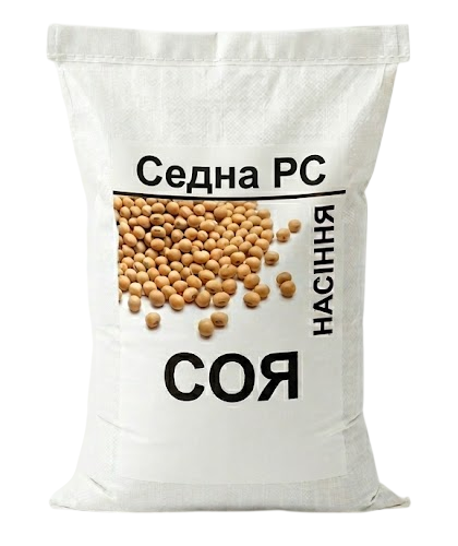 Посівний матеріал сої Седна РС - фото
