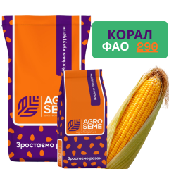 Фото - Насіння кукурудзи Корал (ФАО 250)