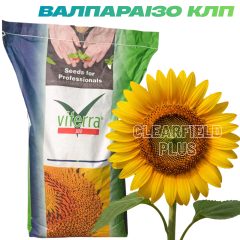 Фото - Насіння соняшнику Валпараізо КЛП (Clearfield Plus) Viterra