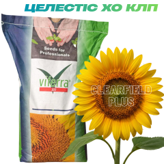 Фото - Насіння соняшнику Целестіс ХО КЛП (Clearfield Plus) Viterra