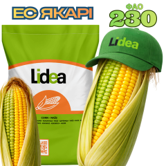 Фото - Насіння кукурудзи ЕС ЯКАРІ (ФАО 230)