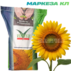 Фото - Насіння соняшнику Маркеза КЛ (Clearfield) Viterra 