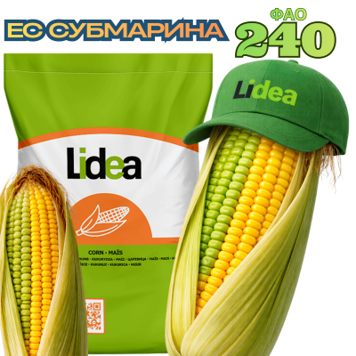 Насіння кукурудзи ЕС СУБМАРИНА (ФАО 240) - фото