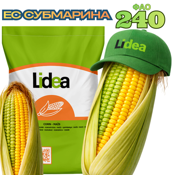 Насіння кукурудзи ЕС СУБМАРИНА (ФАО 240) - фото