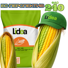 Фото - Насіння кукурудзи ЕС ПЕРСПЕКТИВ (ФАО 240)