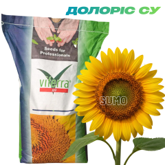 Фото - Насіння соняшнику Долоріс СУ (SUMO) Viterra