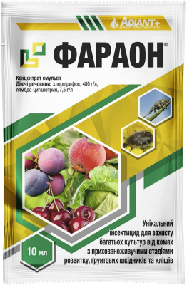 Інсектицид ФАРАОН® 487,5 КЕ - фото
